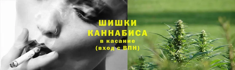 Шишки марихуана гибрид  закладка  Новошахтинск 